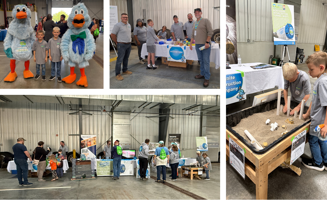 Blue Heron Homecoming