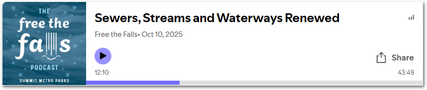 Free the Falls Podcast