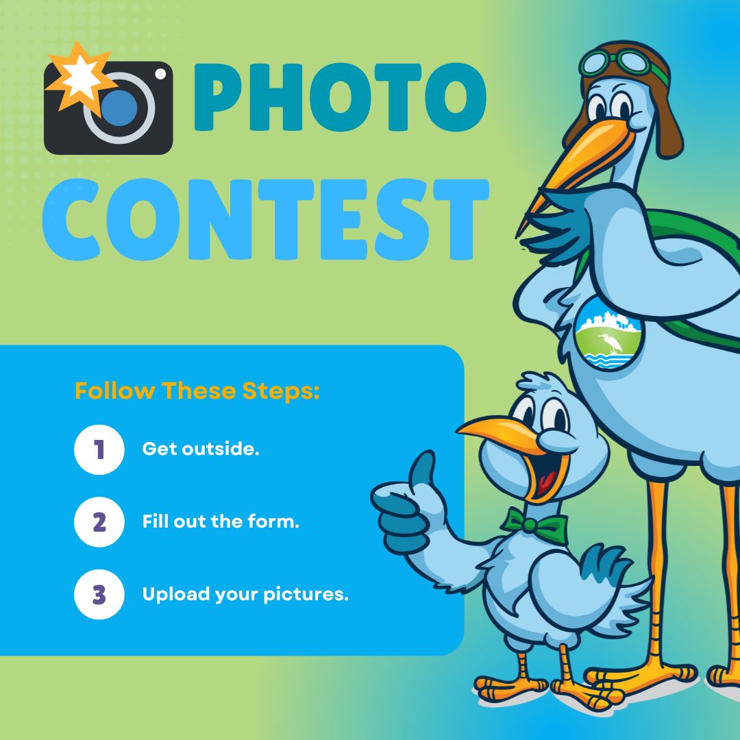 photo contest