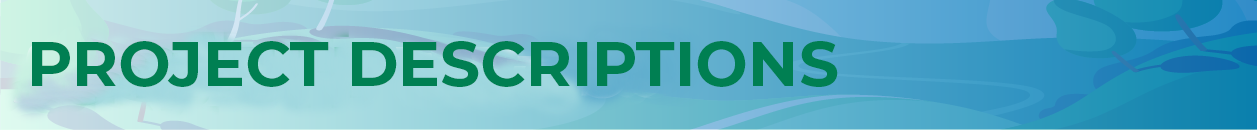 project descriptions