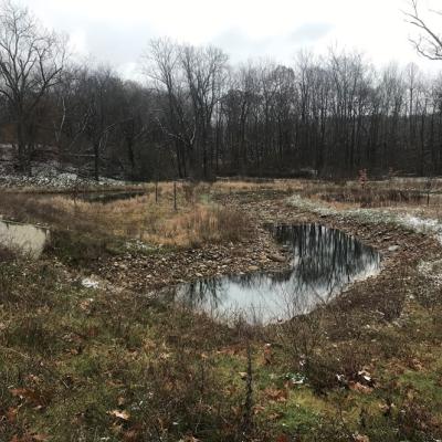 Camp Brook Storage Basin (CSO Rack 12)