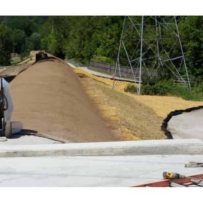 Main Outfall Sewer Cap